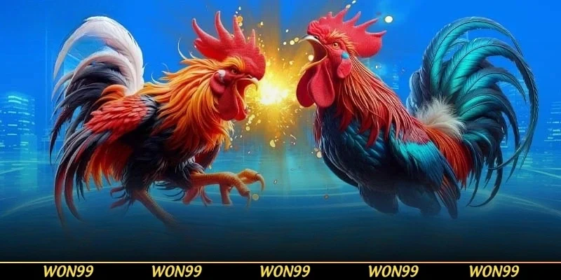 Cách thức phân định thắng thua trận gà cựa sắt
